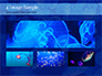 Group of Bioluminescent Jellyfish slide 13