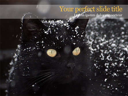 Beautiful Black Cat Presentation Template, Master Slide