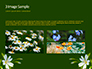 White Flower Close-up slide 12