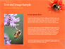 Bumblebee on Flower slide 15