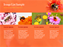 Bumblebee on Flower slide 16