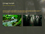 Tropical Rainforest slide 11