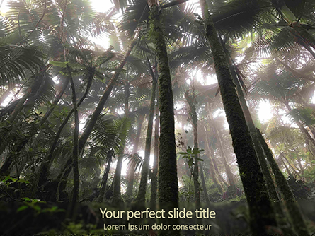 Tropical Rainforest Presentation Template, Master Slide