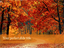 Beautiful Autumn Forest slide 1