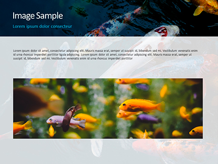 Koi Fish Presentation Template for PowerPoint and Keynote | PPT Star