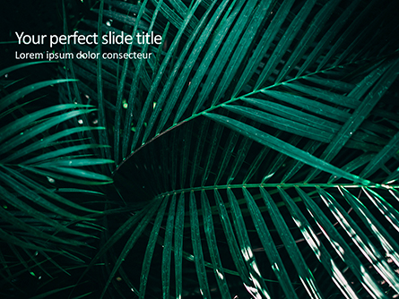 Palm Leaves Presentation Template, Master Slide