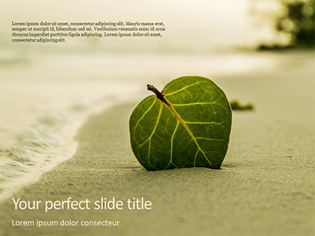 Leaf in Sand on the Beach Presentation Template, Master Slide