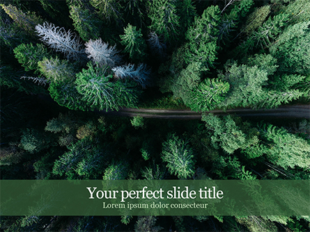 Flying Above a Remote Forest Path Presentation Template, Master Slide