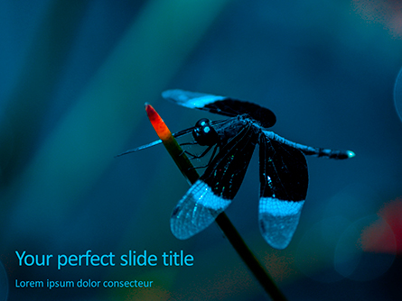 Dragonfly on a Stalk Presentation Template, Master Slide