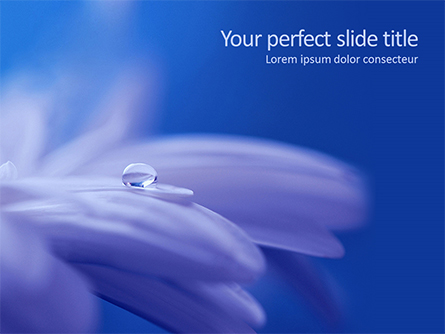 Macro Photo of Water Drop on Flower Petal Presentation Template, Master Slide