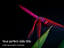 Pink Dragonfly slide 1