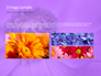 Purple Anemones slide 12