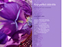 Purple Anemones slide 9