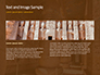 The Hieroglyphs of Ancient Egypt slide 14