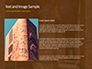 The Hieroglyphs of Ancient Egypt slide 15