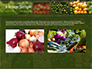 Vegetable Shop slide 11