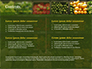 Vegetable Shop slide 2