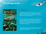 Marine Turtle slide 15
