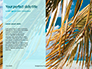 Palm Leaves Against the Turquoise Sky Presentation slide 9