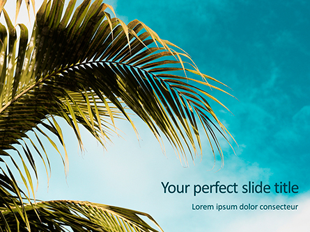 Palm Leaves Against the Turquoise Sky Presentation Presentation Template, Master Slide
