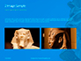 Head of Pharaoh Statue Presentation slide 11