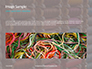Spools of Multi-Colored Threads Presentation slide 10