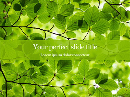 Green Tree Leaves in Sunlight Presentation Presentation Template, Master Slide
