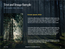 Spruce-Fir Forest Presentation slide 15