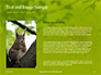 A Squirrel Gnaws a Nut Presentation slide 15