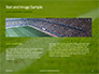 Green Field for Sport Games Presentation slide 14