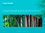 Bamboo Leaves on Blue Background Presentation slide 10