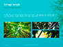 Bamboo Leaves on Blue Background Presentation slide 12