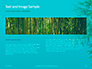 Bamboo Leaves on Blue Background Presentation slide 14