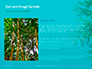 Bamboo Leaves on Blue Background Presentation slide 15