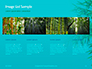 Bamboo Leaves on Blue Background Presentation slide 16