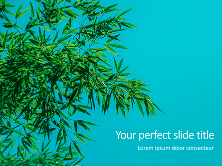 Bamboo Leaves on Blue Background Presentation Presentation Template, Master Slide
