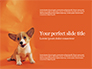 Cute Puppy Portrait on Orange Background Presentation slide 1