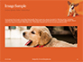 Cute Puppy Portrait on Orange Background Presentation slide 10