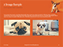 Cute Puppy Portrait on Orange Background Presentation slide 11