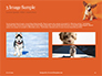Cute Puppy Portrait on Orange Background Presentation slide 12
