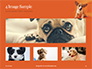 Cute Puppy Portrait on Orange Background Presentation slide 13