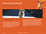 Cute Puppy Portrait on Orange Background Presentation slide 14
