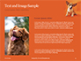 Cute Puppy Portrait on Orange Background Presentation slide 15