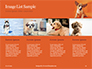 Cute Puppy Portrait on Orange Background Presentation slide 16
