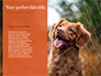 Cute Puppy Portrait on Orange Background Presentation slide 9