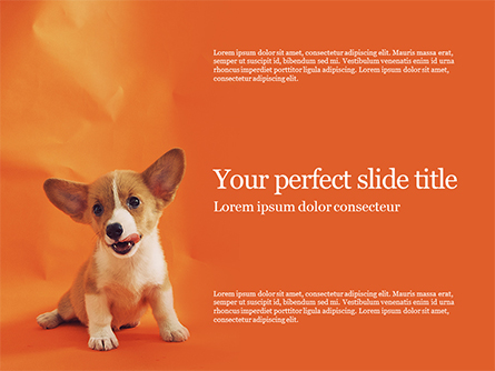 Cute Puppy Portrait on Orange Background Presentation Presentation Template, Master Slide