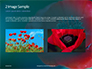 Red Poppy Closeup Presentation slide 11