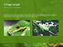 Emerald Python Coiled on Tree Presentation slide 11