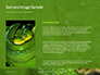 Emerald Python Coiled on Tree Presentation slide 15