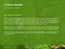 Emerald Python Coiled on Tree Presentation slide 4